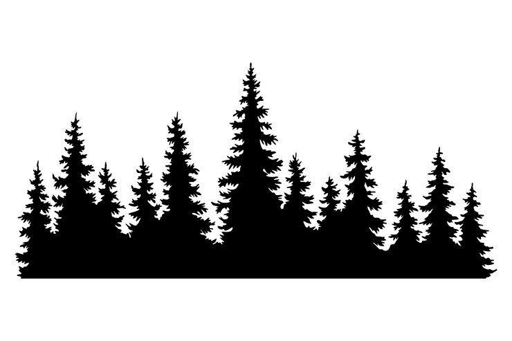 Vetor silhuetas de pinheiros padrões de fundo horizontal de abetos coníferos ilustração vetorial de madeiras perenes pretas belo panorama desenhado à mão com floresta de copas de árvores pinheiros negros