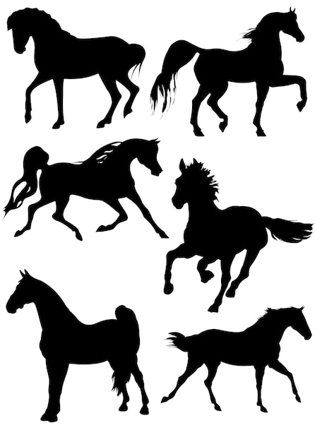 Silhuetas de seis cavalos