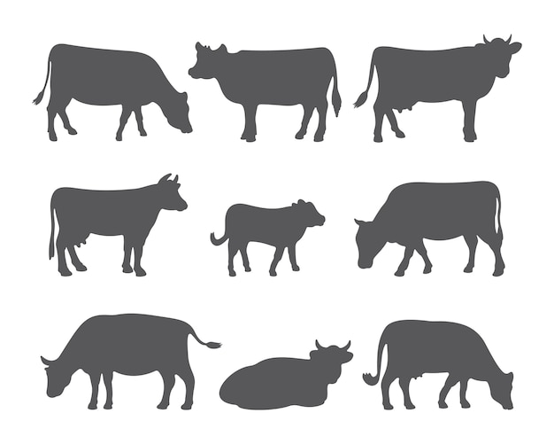 Silhuetas de vacas e bezerros em diferentes poses. conjunto de vacas isoladas no fundo branco.