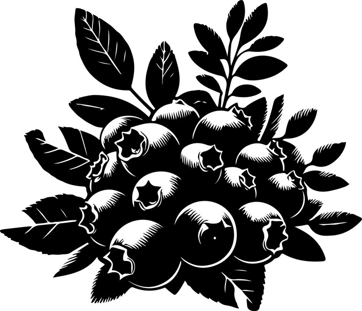 Vetor silueta de frutas de mirtilos