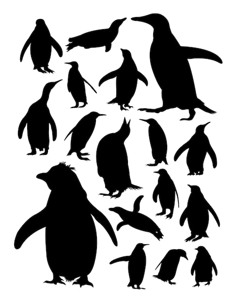 Vetor silueta, de, pingüins