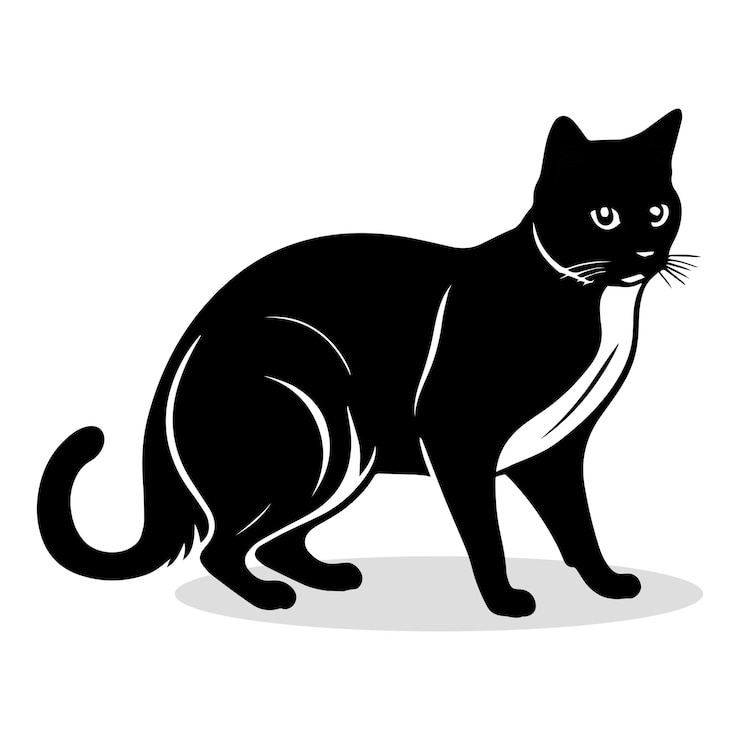 Vetor siluetas e ícones de gatos vector de animais de fundo branco de cor plana preta e ilustração