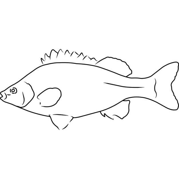 Silver perch hand esboçado à mão clipart vetorial desenhado