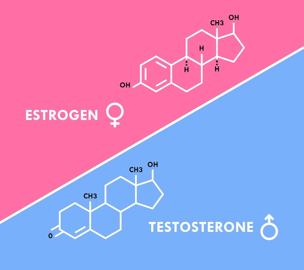 Vetor símbolo de hormônios estrogênio e testosterona fórmula molecular de hormônios sexuais fórmula molecular de hormônios sexuais ilustração em vetor