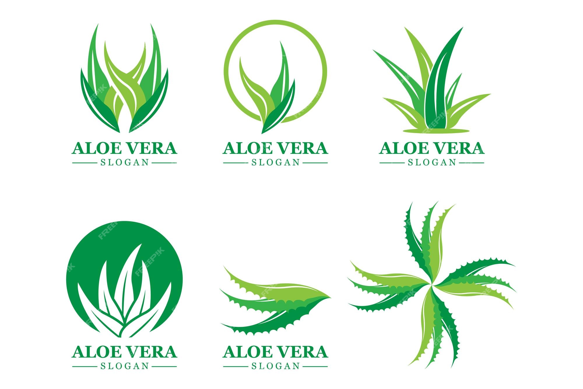 Aloe vera logotipo planta verde projeto de saúde ilustração vetorial  símbolo