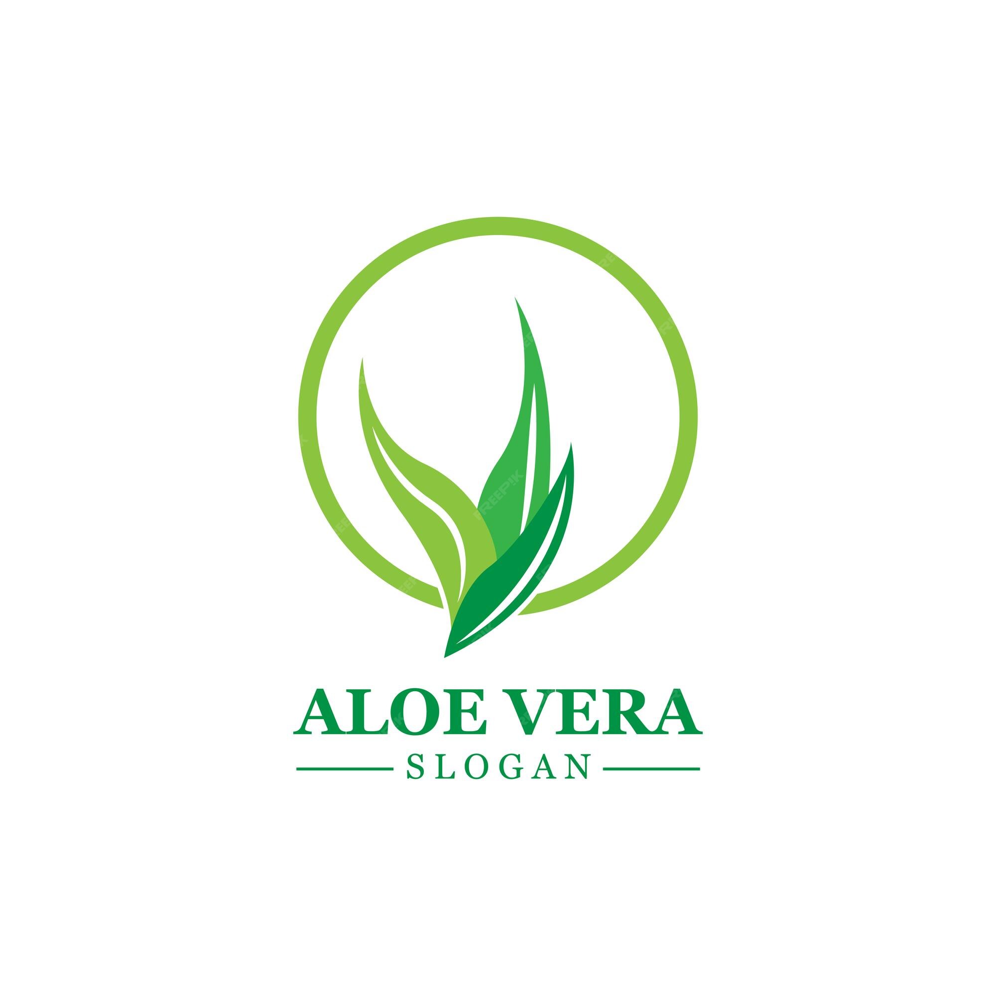 Aloe vera logotipo planta verde projeto de saúde ilustração vetorial  símbolo