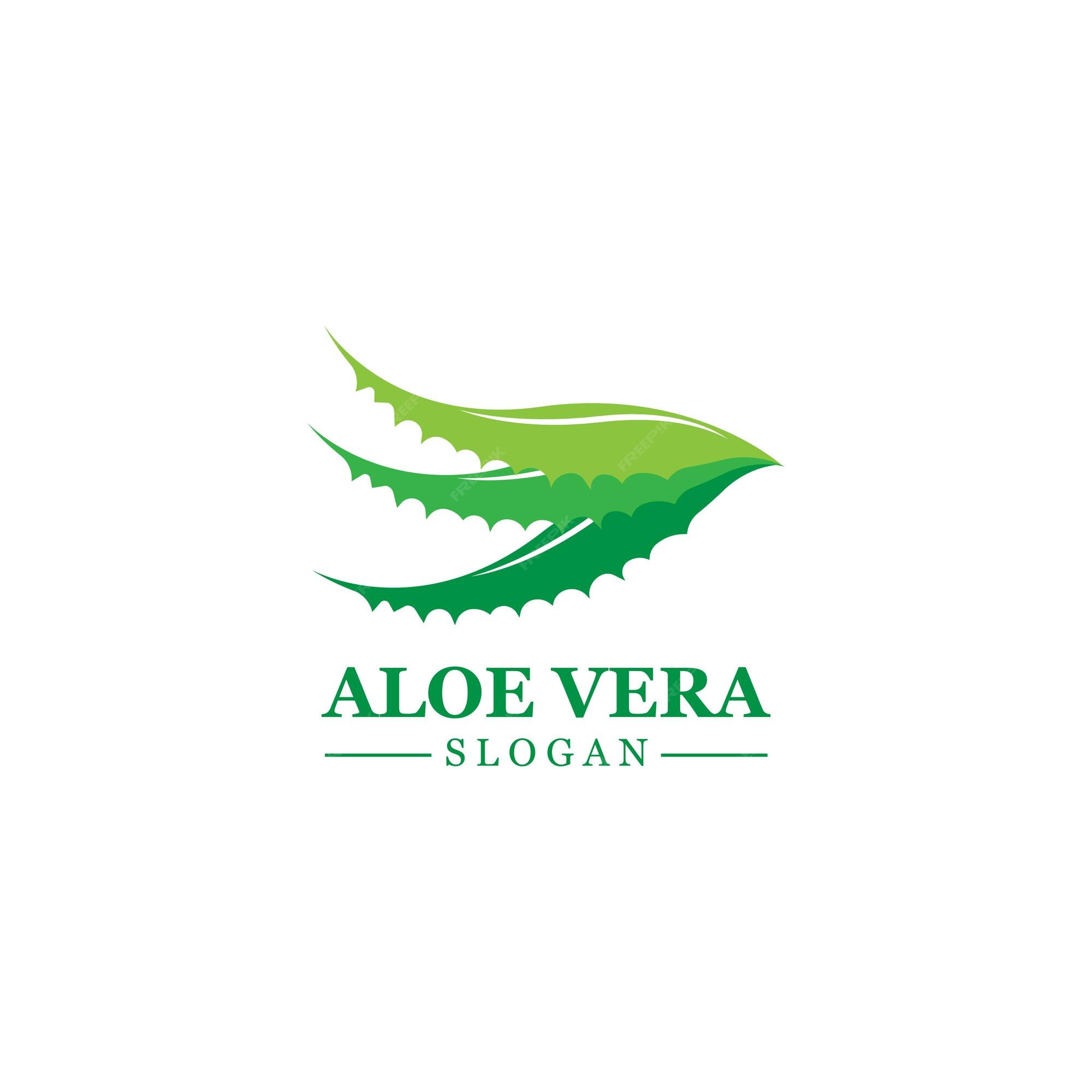 Aloe vera logotipo planta verde projeto de saúde ilustração vetorial  símbolo