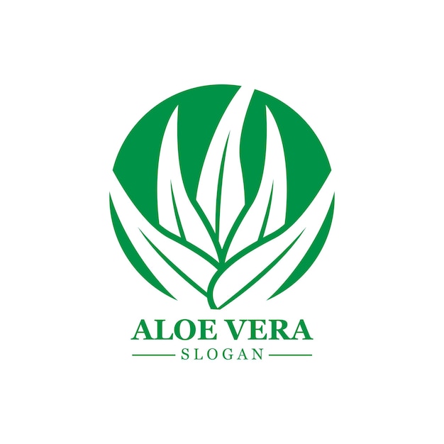 Aloe vera logotipo planta verde projeto de saúde ilustração vetorial  símbolo