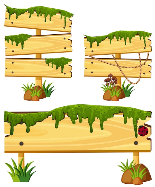 Sinais de madeira com musgo e grama