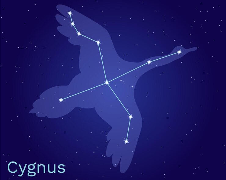Vetor sinal de vetor de constelação de cisne cygnus com silhueta animal