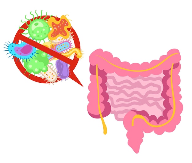 Sistema de bactérias intestinais digestivas do intestino microflora conceito plano ilustração de design gráfico