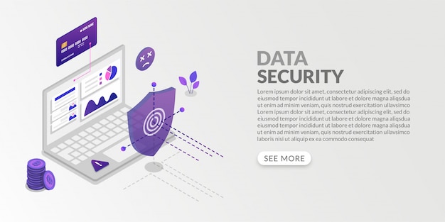 Sistema isométrico de proteção de dados e segurança de informações pessoais