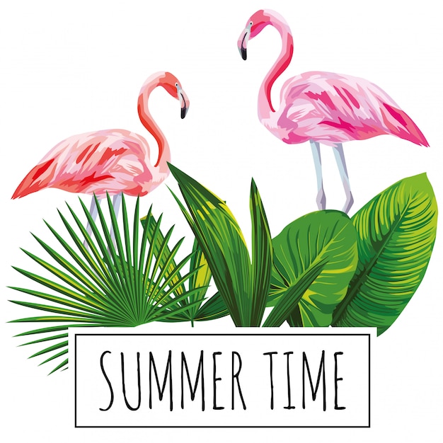 Vetor slogan horário de verão tropical deixa flamingo