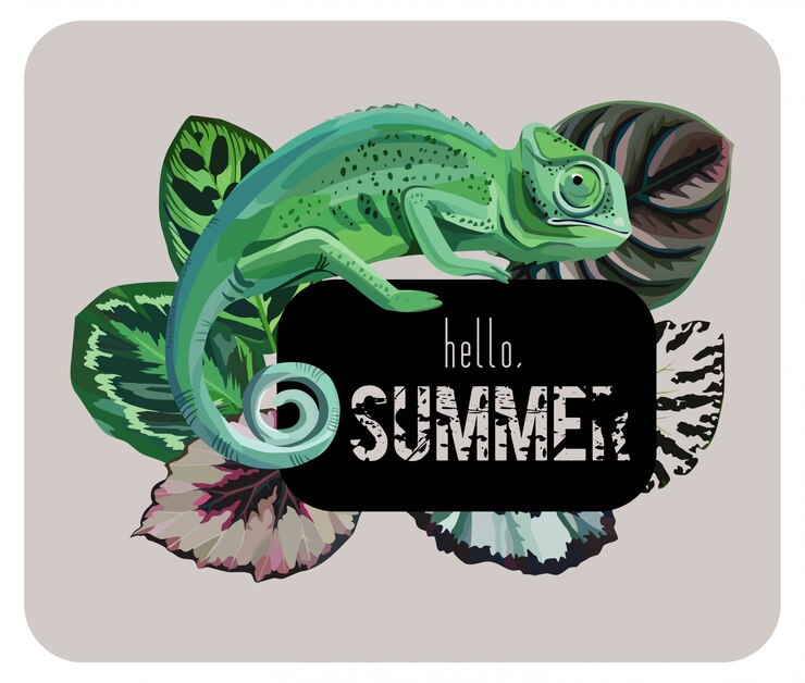 Slogan olá verão com camaleão