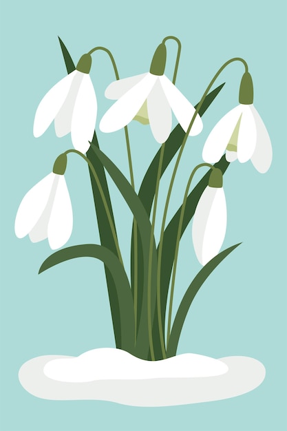 Snowdrops no vetor de neve