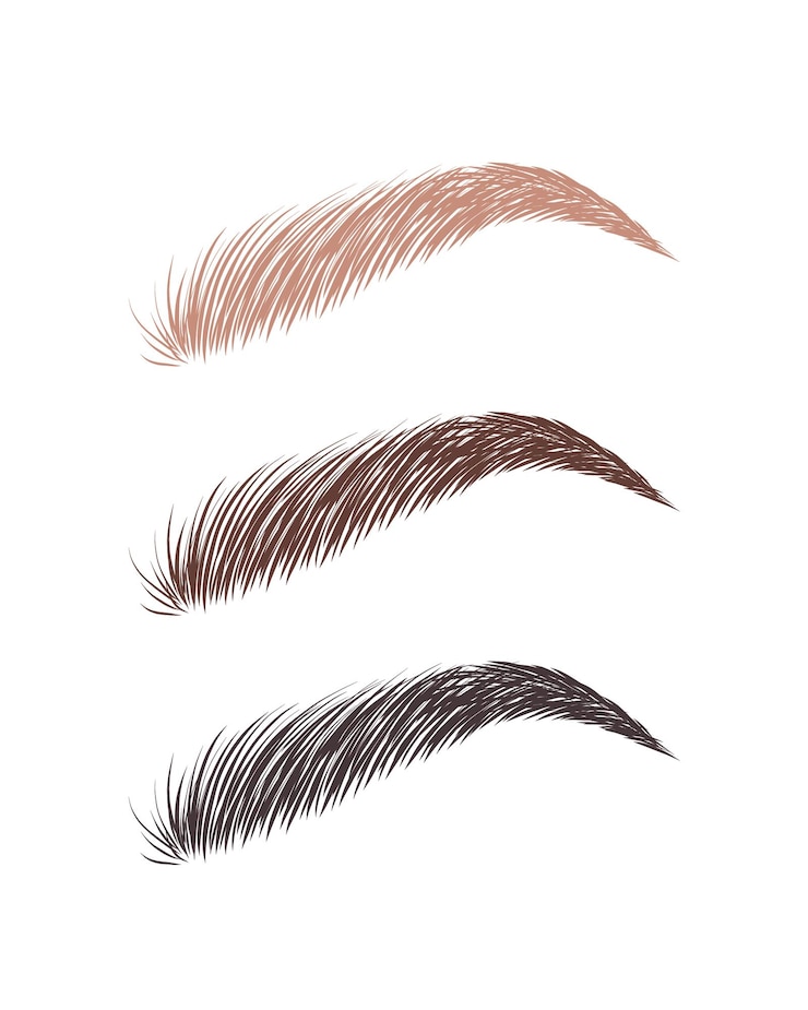 Vetor sobrancelhas femininas em várias cores cabelo castanho loiro e escuro formas de sobrancelhas arqueadas