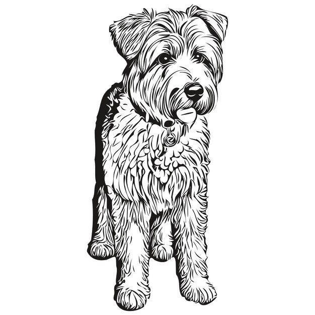 Vetor soft coated wheaten terrier dog head line desenho vectorhand ilustrações desenhadas com fundo transparente