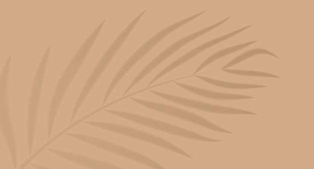 Sombra de folhas de palmeira em um fundo rosa brilhante estilo minimalista