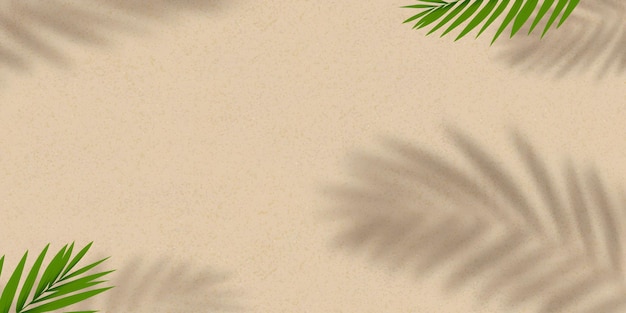 Sombras de folhas de palmeira em textura bege