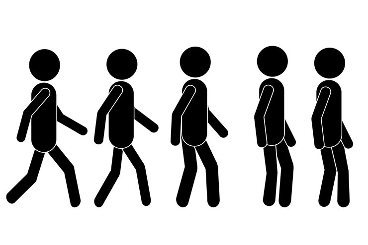 Vetor stickman várias posições de caminhada conjunto de ícones de ilustração vetorial figura de bastão pessoa sequência de caminhada símbolo de sinal silhueta pictograma