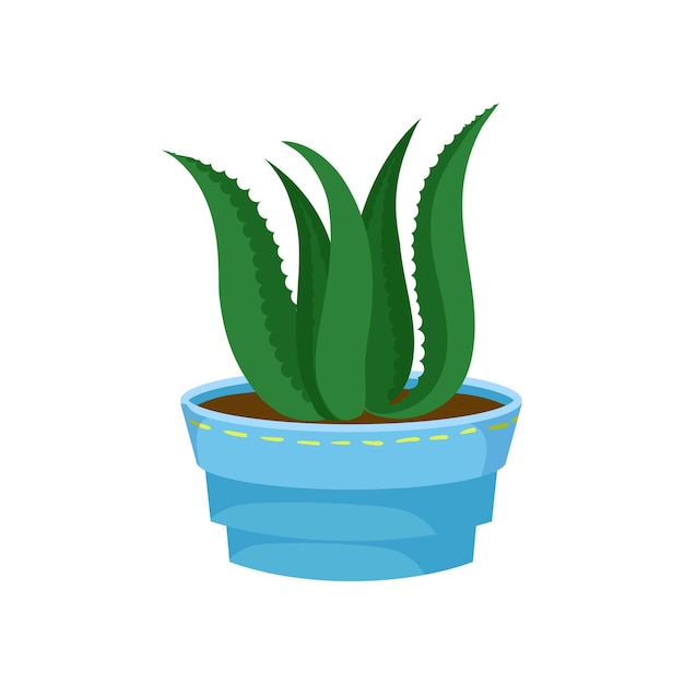 Suculenta Aloe Vera em uma planta de vaso em um vetor de desenhos animados de vaso de flores ilustração sobre um fundo branco