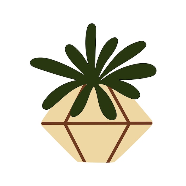 Vetor suculenta em um pote de cerâmica echeveria cactus