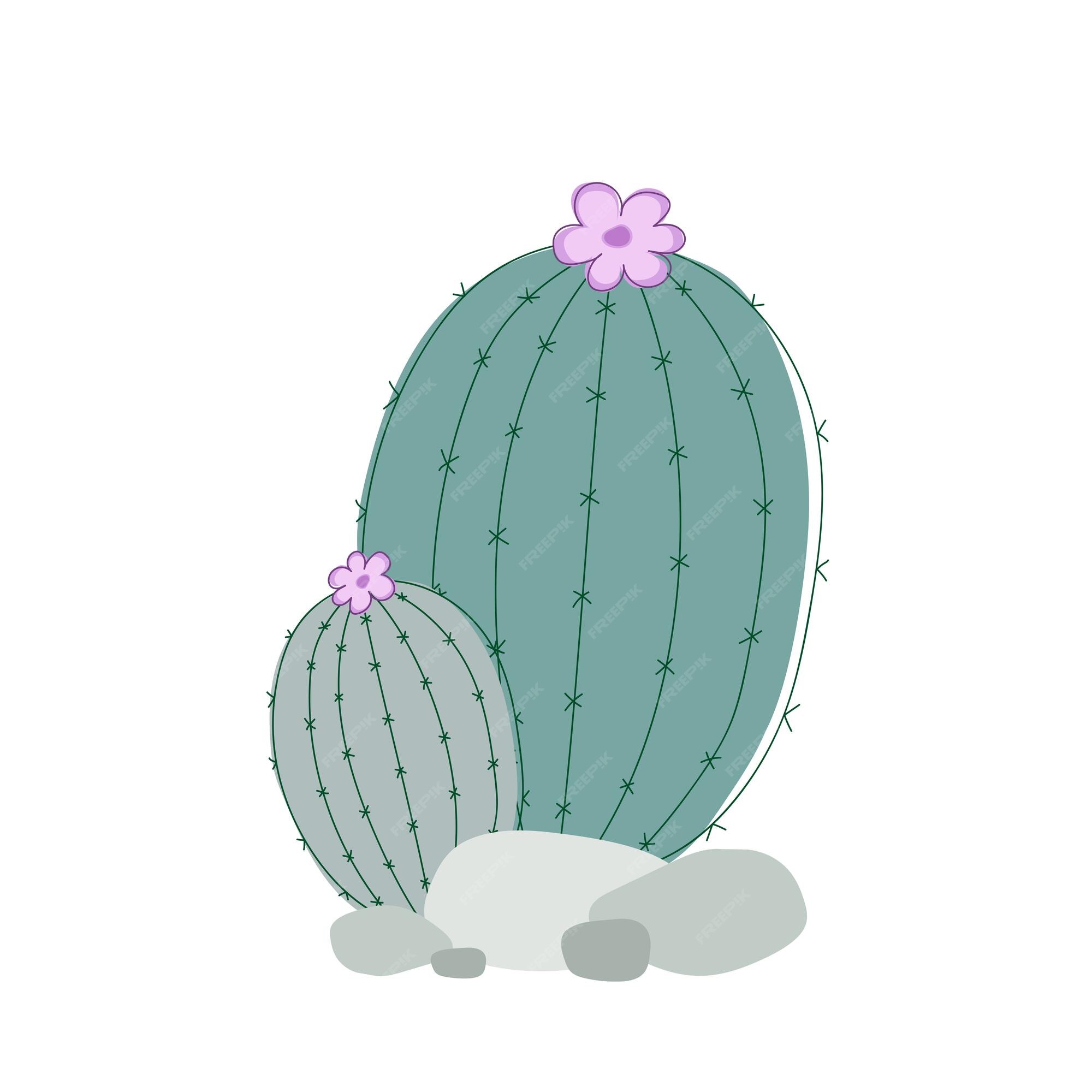 Cactus Png Tumblr - Cacto E Balao Desenho,Tumblr Cactus Png - free