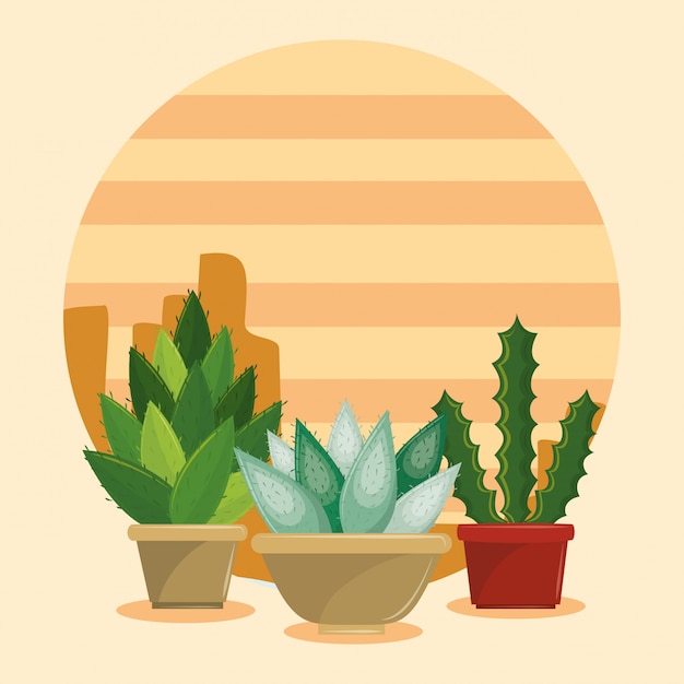 Vetor suculentas cactus em pote em desertscape