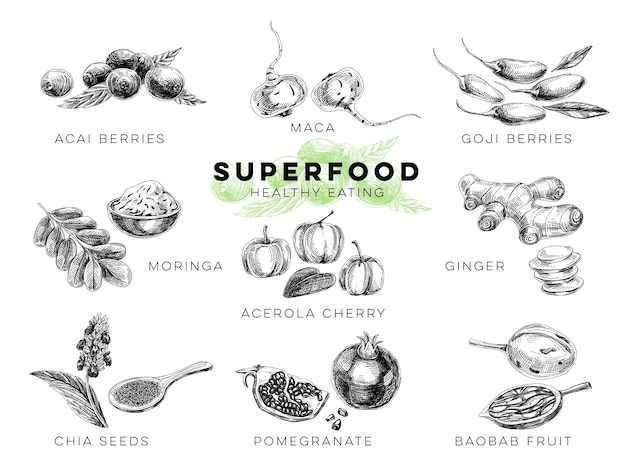 superalimento extraído mão ilustração.