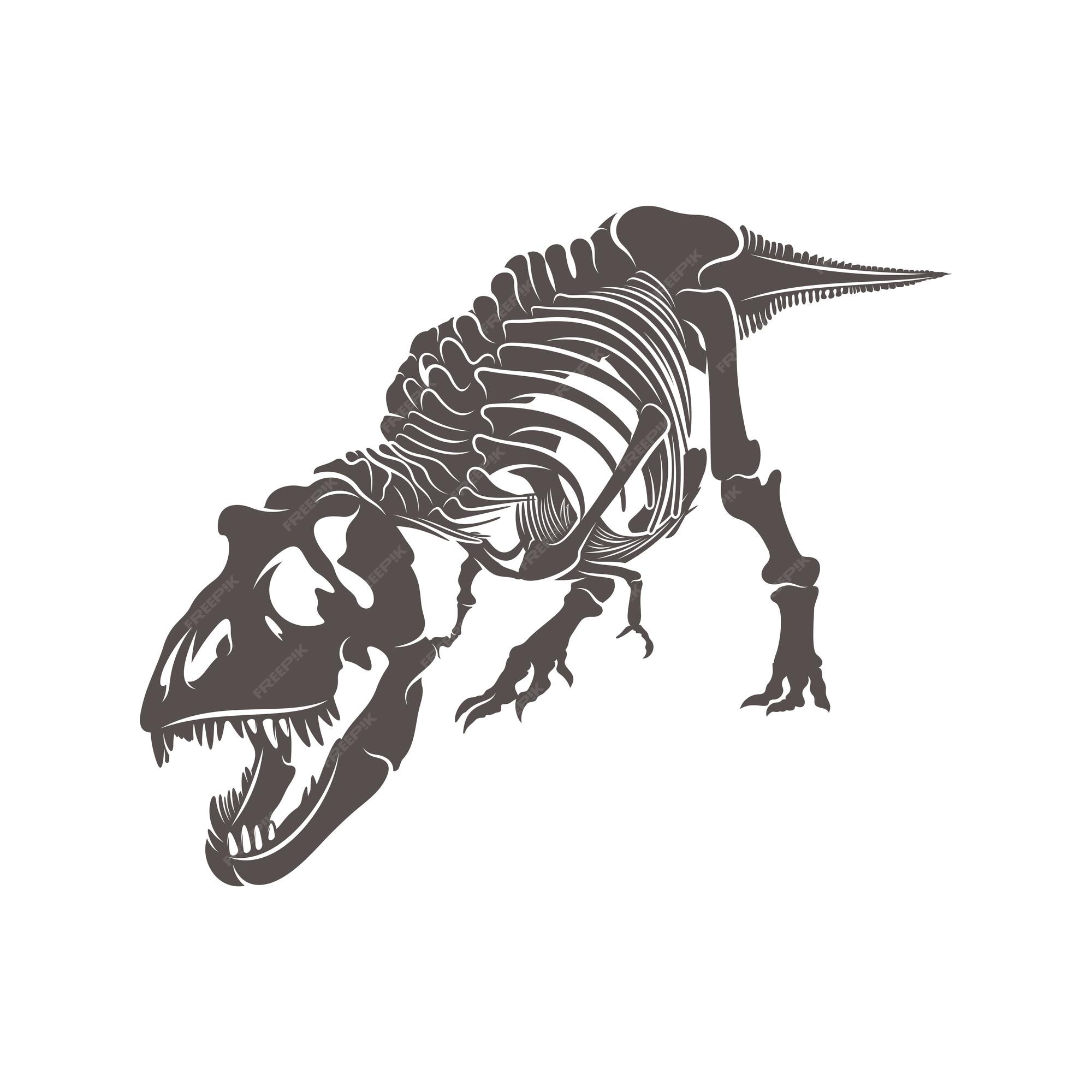 T rex dinossauros ossos silhueta espacial negativa ilustrações conjunto  imagem vetorial de jkazanceva© 299125280