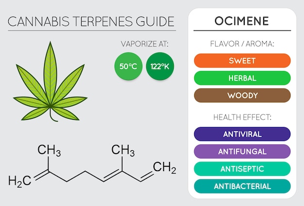 Tabela de informações do guia de terpeno de cannabis Aroma e sabor com benefícios para a saúde e vetor de temperatura de vaporização