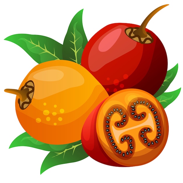 Tamarillo ilustração