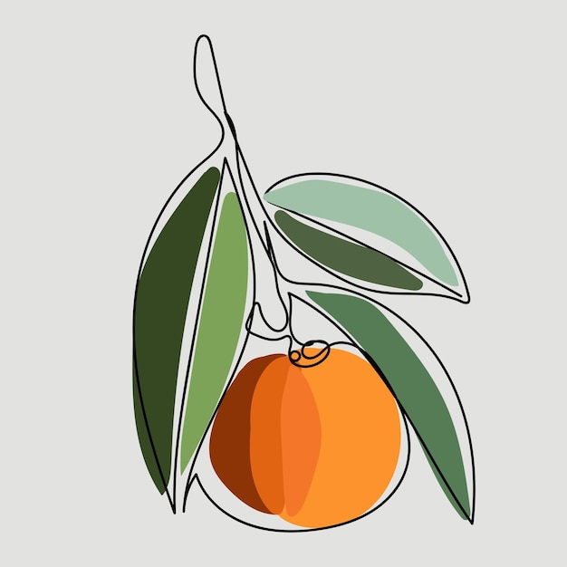 Tangerina laranja tangerina uma linha desenhada fruta tropical com manchas coloridas ícone simples orgânico objeto alimentar em estilo gráfico mínimo desenhado à mão i