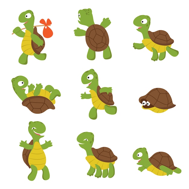 Vetor tartaruga de desenho animado. personagens de animais selvagens de tartaruga bonito isolados