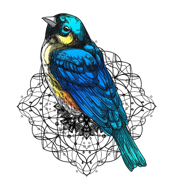 Tatuagem arte azul pássaro desenho à mão esboço preto e branco