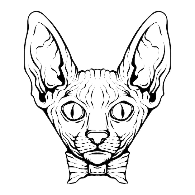 Vetor tatuagem desenho sphynx gato ilustração vetor isolado preto e branco