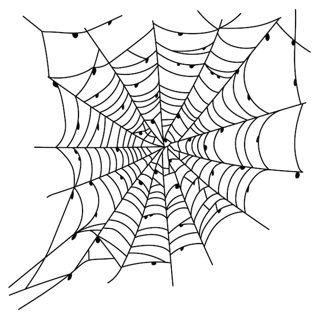 Vetor teia de aranha assustadora isolada ilustração assustadora da decoração do dia das bruxas contorno da teia de aranha