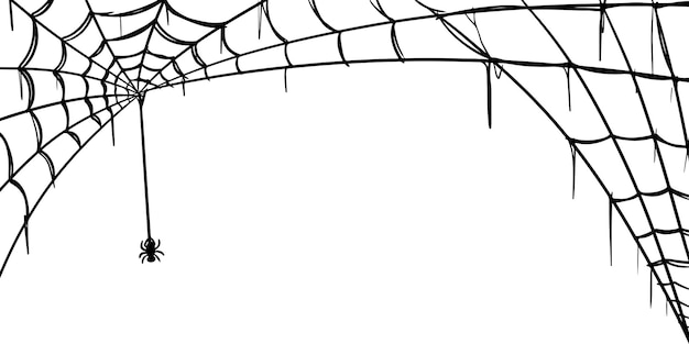 Vetor teia de aranha isolada no doodle de fundo branco ilustração em vetor de teia de aranha