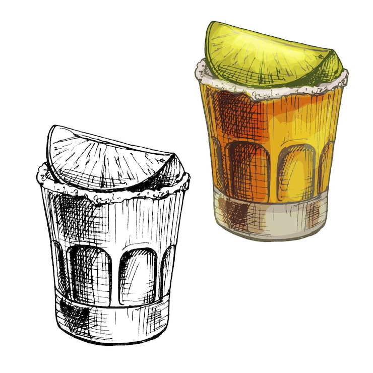 Vetor tequila de vidro com fatia de limão vector vintage cor de incubação e monocromático isolado em branco