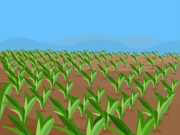 Vetor terra agrícola, conceito de agricultura. fundo de paisagem rural. processo de cultivo do solo