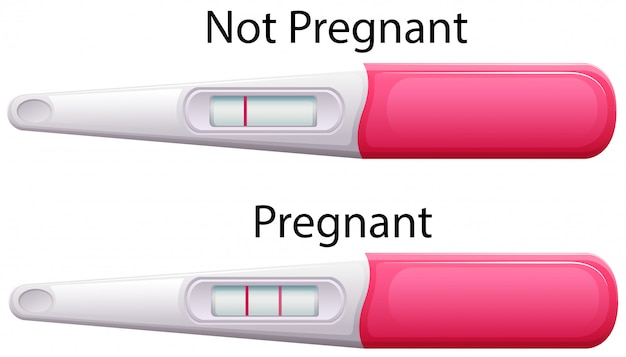 Vetor teste de gravidez varas com resultados