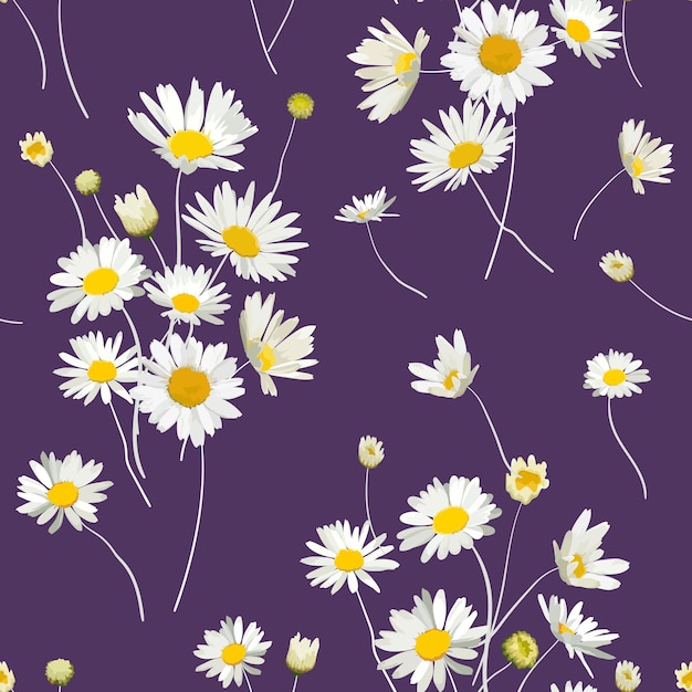 Teste padrão floral sem costura com flores de camomila. Fundo natural com flores da margarida para papel de parede de design primavera verão, decoração, impressão. Ilustração vetorial