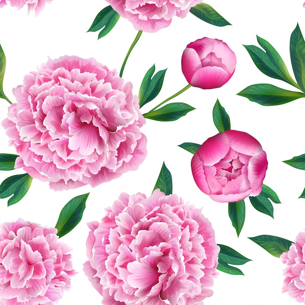 Teste padrão floral sem costura com flores rosa peônia