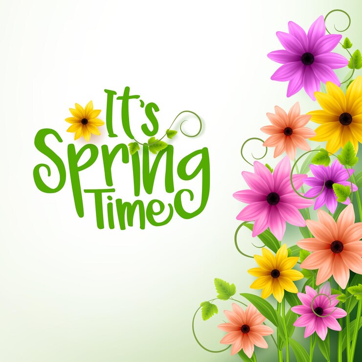Vetor texto de tempo de primavera de vetor em fundo branco com flores coloridas 3d realistas e videiras.