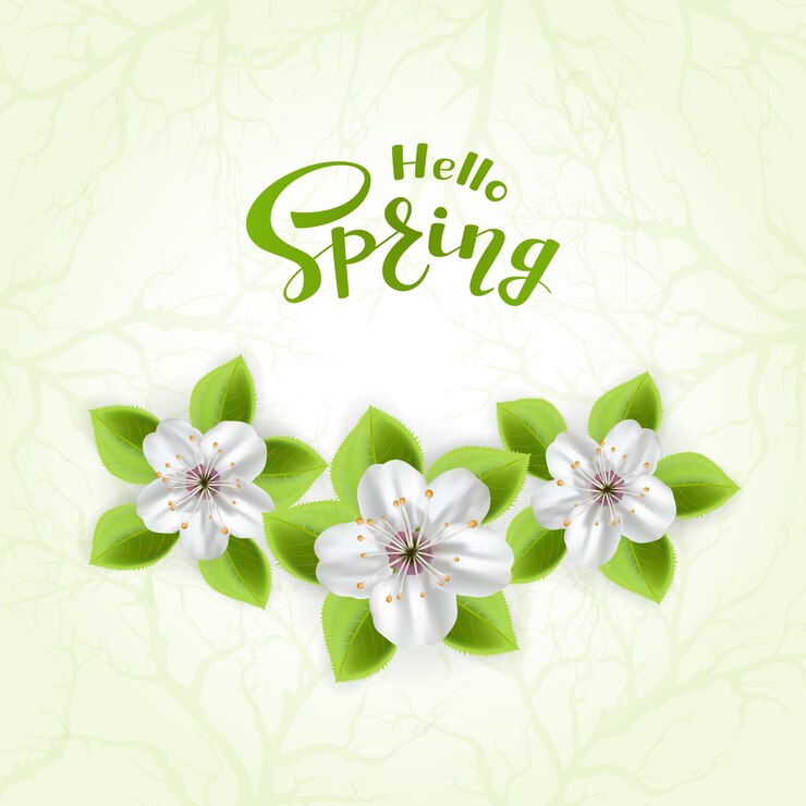 Vetor texto olá primavera e flores brancas com folhas em fundo verde, ilustração.
