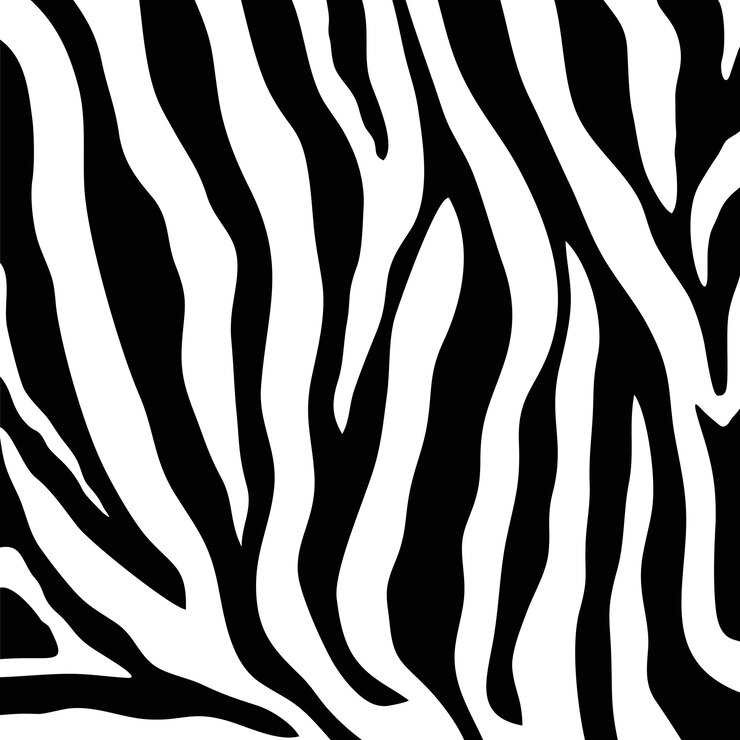 Vetor textura da pele de zebra imagem em preto e branco