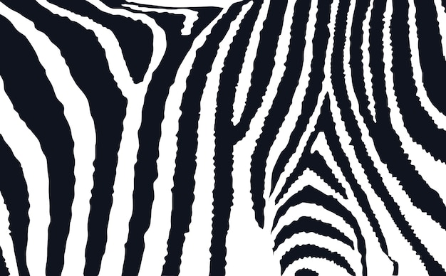 Textura das listras de zebra