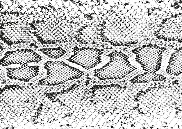 Textura de casca de madeira sobreposta angustiada