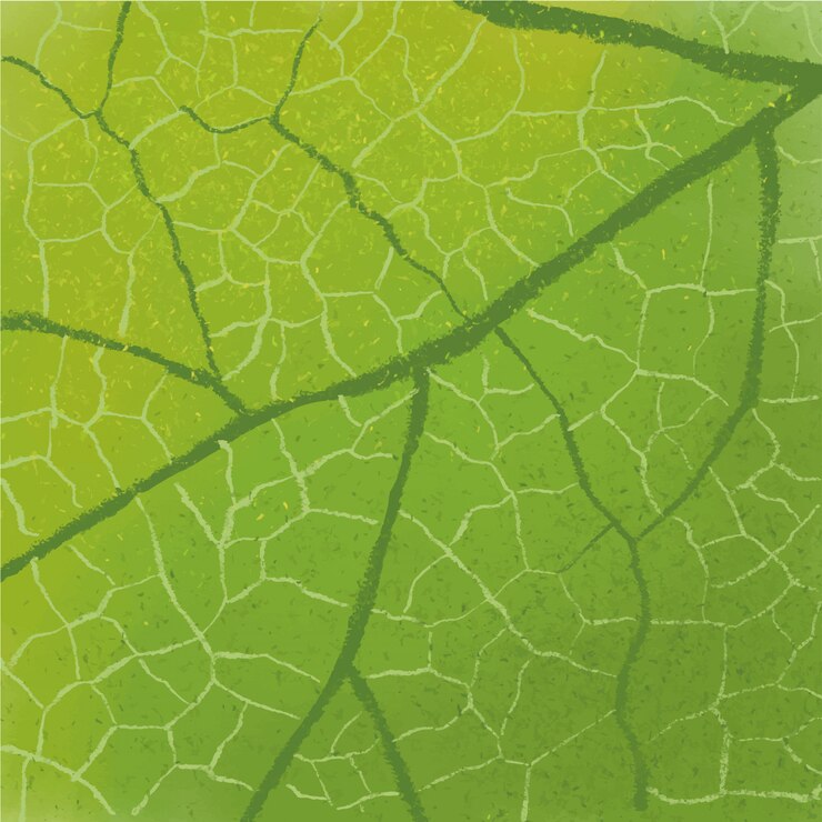 Vetor textura de close-up de folha feita com aquarela e creiom