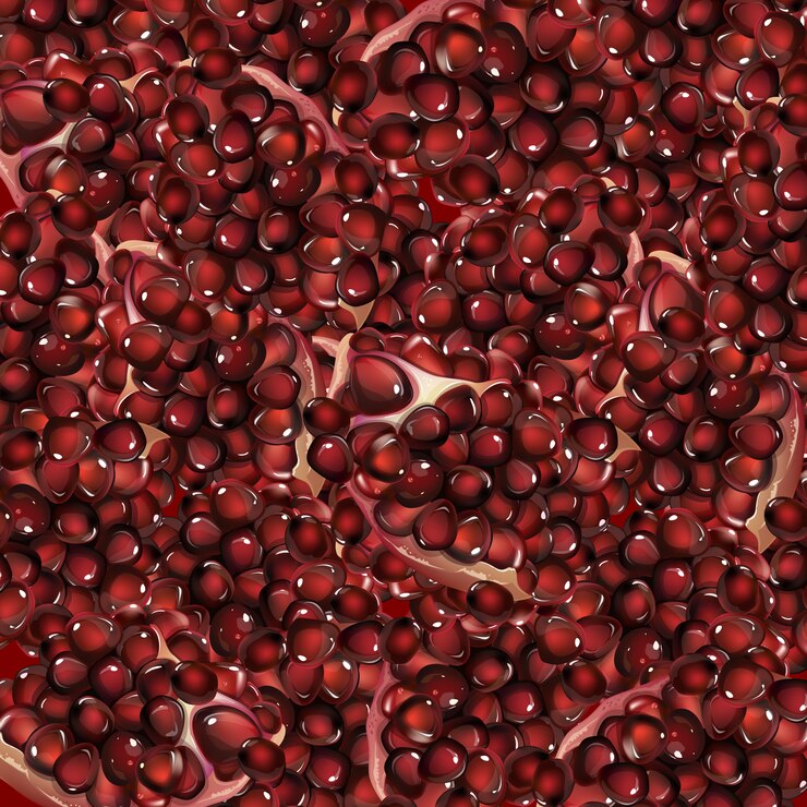 Vetor textura de fundo de romã e grão